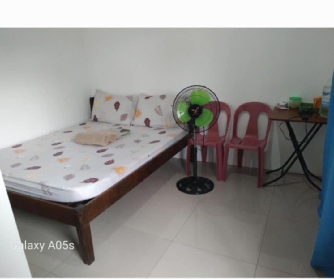 Francis Home Stay Port Barton Bonifacio Street San Vicente  Eksteriør bilde